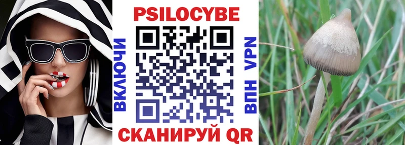 наркотики  Миллерово  Псилоцибиновые грибы Magic Shrooms 
