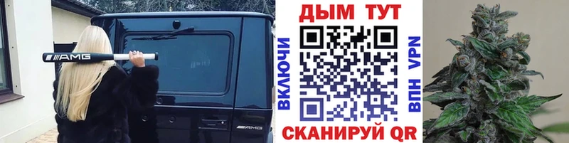 закладки  Миллерово  Бошки марихуана конопля 